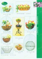 Sell hanging baskets
