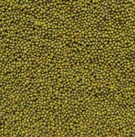 ORGANIC MUNG BEANS