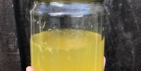 LEMON EXTRACT