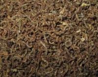 Animal Feed Freeze Dried Bloodworms