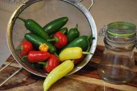 CHEAP RED, YELLOW AND GREEN CHILLI: DRIED, FROZEN, FRESH, POWDER, PICKLE