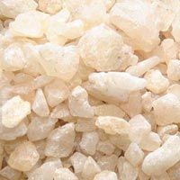 Gum Copal for sale, Exporter