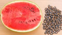 export bulk new crop big red or black dry Water melon Seeds for sale