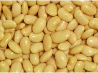 White Butter Beans - Best Quality and Price