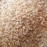 SWARNA NON BASMATI / BROWN RICE / INDIAN BASMATI RICE