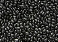 TTN Haricot Bean Black Kidney Beans Soya Bean
