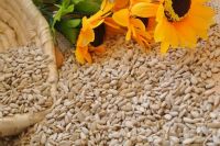 sunflower seeds kernel for sale