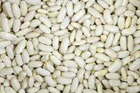 We have good quality lima beans for sale.