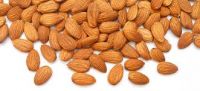 Quality Almond Nuts / Raw Natural Almond Nuts / Organic Bitter Almonds