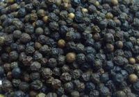 Black Pepper And White Pepper Powder High Quality Bulk