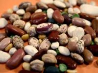 Wholesale natural brown, black, navy, white, Purple, red kidney beans