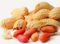 2018 Natural peanuts/ groundnut raw red, brown & white, peeled & unpeeled