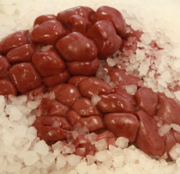 Frozen Kidney