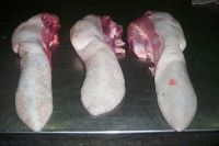 Buffalo Tongue/Frozen Buffalo Tongue/Cheek Meat & Tongue Meat (Frozen Offals)