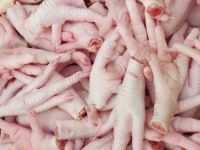 Halal Grade A Brazil Chicken Feet / Brazil Frozen Chicken Paws