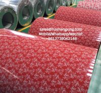 Zhejiang high quality GI/PPGI/GL/PPGL Supplier