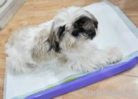Sell disposable underpads, pet underpads, puppy pads, pet pads