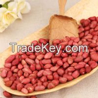 Red Skin Peanuts