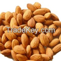 Almond Nuts