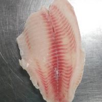 frozen tilapia fish fillet