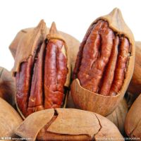 wholesale pecan nut