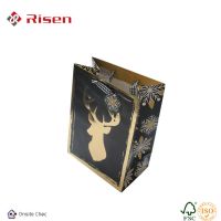 craft paper bag with customized Logo