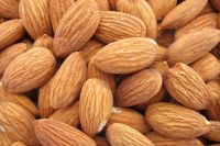 Wholesale Sweet Almond Nuts Kernels cheap price