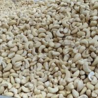 Best Price And All Size I Cashew Nuts W240- W320- W450 Cashew Nut