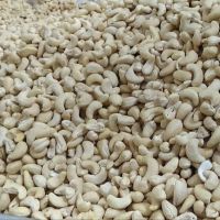 cleaned cashew nut W240- W320- W450