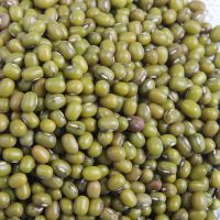 Whole Green Mung Beans