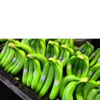 PREMIUM CHEAP FRESH CAVENDISH BANANA