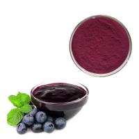 Bulk price hot sales blue berry fruit organic blueberry juice powder