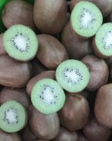 Fresh Kiwi fruit