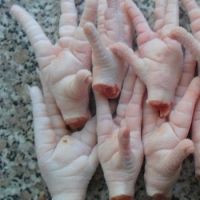 Halal Frozen Whole Chicken / Frozen Chicken Feet / Frozen Chicken Paws