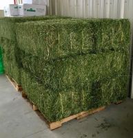 Premium TIMOTHY HAY