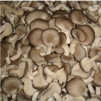 frozen mushroom and frozen fresh oyster mushroom