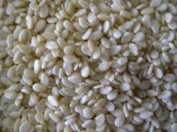 Sesame Seeds