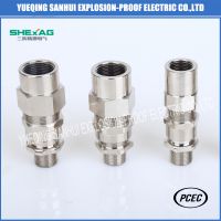 Double compression armored cable gland for male thread and female thread