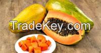 Fresh Papaya Available