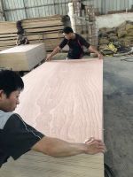 PRODUCTION PLACE OF PLYWOOD