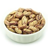 Light Speckled Kidney beans (LSKB) Pinto beans/Sugar beans