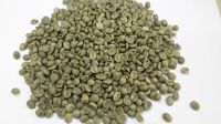 Arabica Green Coffee Bean