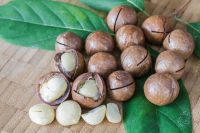 In Shell Macadamia Nuts - Grown in Australia