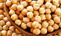 Chickpea