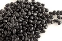 Black Beans Dried Kidney Beans Pulses