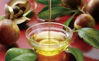 HACCP certificated 100% pure natural camellia seeds cold pressed camellia oil