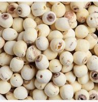 Organic dried white lotus seeds