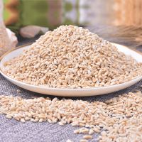 Oat Rice in Bags 400g / 454g / 1kg / 25kg