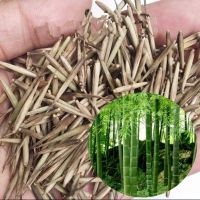 S002-8 Mao zhu zhong zi Hot Sale High Purity Chinese Bamboo Seeds