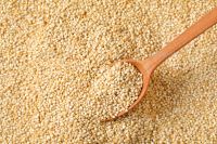 Highest Quality Quinoa Grain